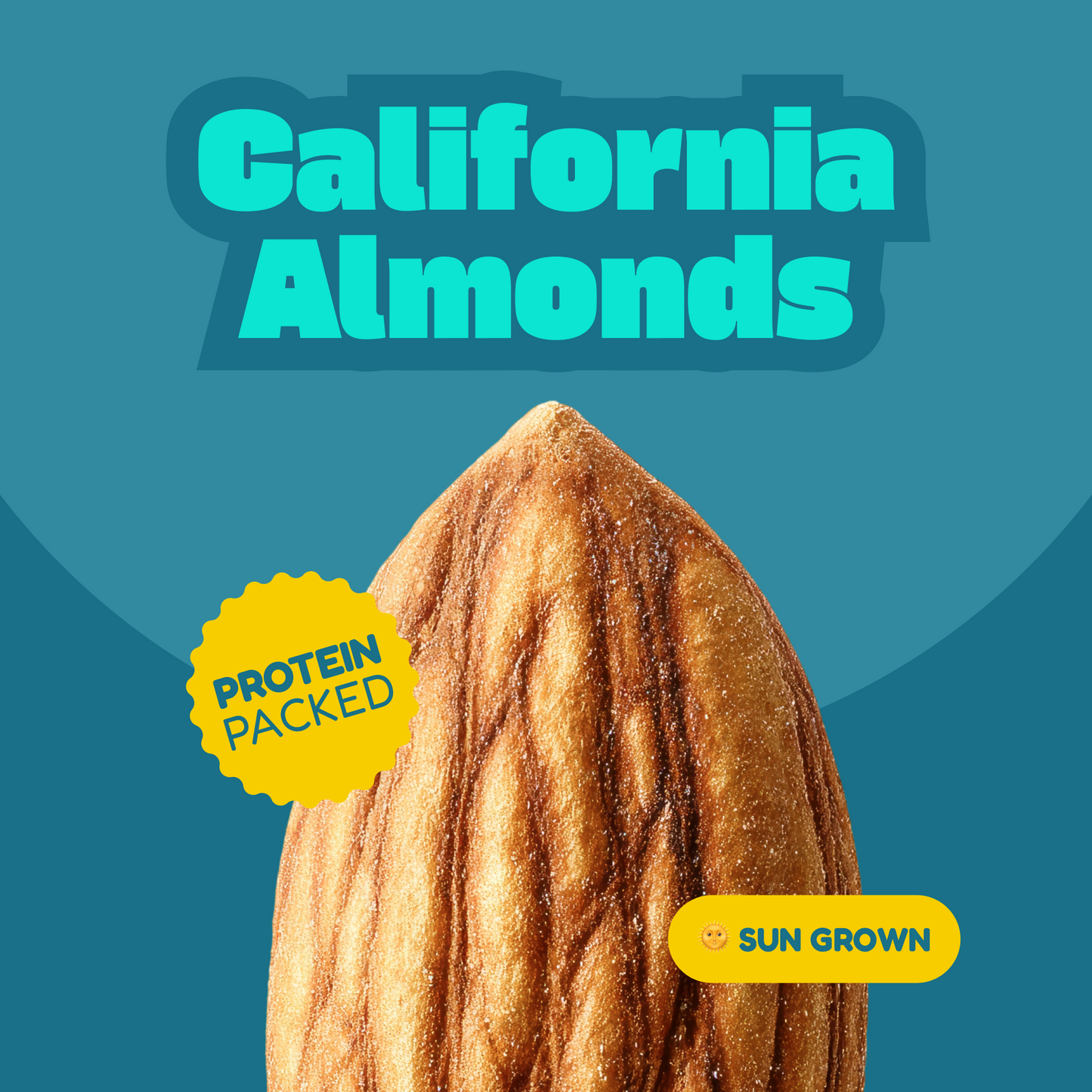 Dark Chocolate & Sea Salt Chocolate Coated Almonds